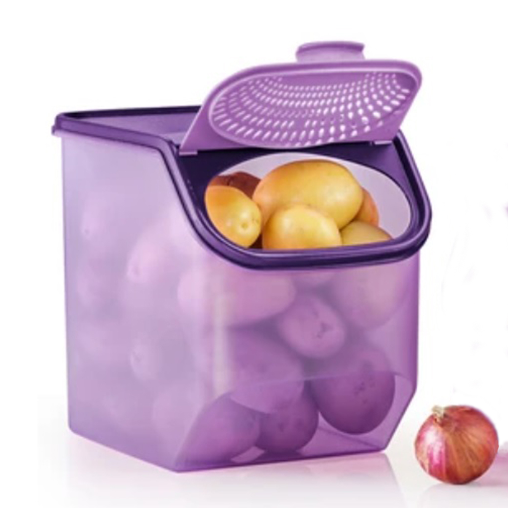 Tupperware Garlic N All Keeper - Image 2